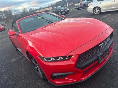 2024 Ford Mustang EcoBoost